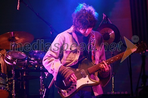 Andrew VanWyngarden, član skupine MGMT