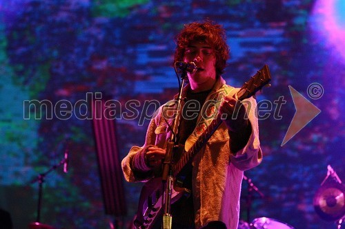 	Andrew VanWyngarden, član skupine MGMT