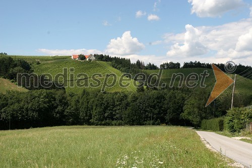 Vinograd Fakultete za kmetijstvo, UKC Pohorski dvor Meranovo