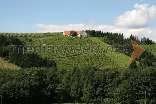 Vinograd Fakultete za kmetijstvo, UKC Pohorski dvor Meranovo