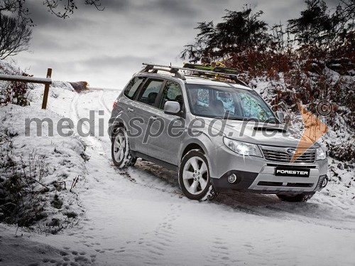 Subaru Forester je Crossover leta 2010