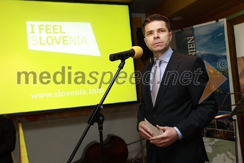 Aleksander Geržina, veleposlanik Slovenije v Avstriji