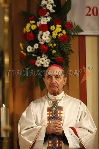 Dr. Franc Kramberger, nekdanji mariborski nadškof