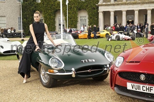 Jaguar E-type praznuje 50. obletnico na festivalu Goodwood