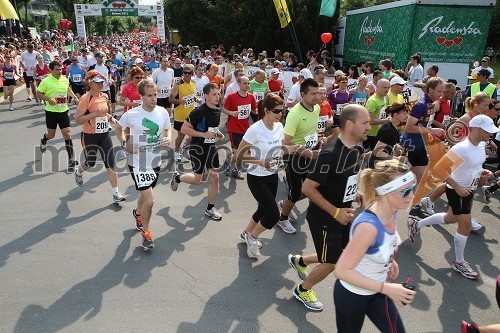 31. Maraton treh src, udeleženci