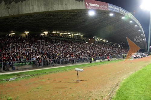 Dogajanje na tribunah stadiona Ljudski vrt