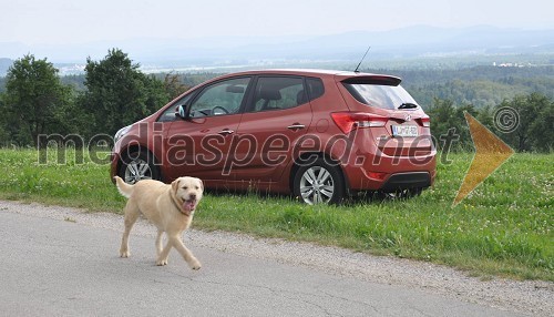 Hyundai ix20 preprosto ugaja vsem, tudi naključnim štirinožnim prijateljem