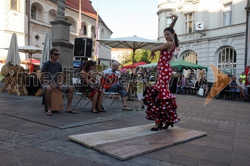 Živa Heričko, plesalka flamenka