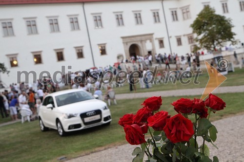 Na gradu Negova se je zgodil 2. Salon Traminec