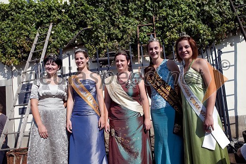 Ksenja Arbeiter, mariborska vinska kraljica, Lea Mlečnik, Vipavska vinska kraljica 2011, Aleksandra Kelemina, 2. Kogovska vinska kraljica, Andreja Plohl, vinska kraljica Radgonsko - Kapelskih goric in Tina Rajh, 2. Cerkvenjaška vinska kraljica