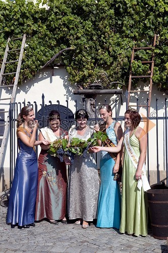 Lea Mlečnik, Vipavska vinska kraljica 2011, Aleksandra Kelemina, 2. Kogovska vinska kraljica, Ksenja Arbeiter, mariborska vinska kraljica, Andreja Plohl, vinska kraljica Radgonsko - Kapelskih goric in Tina Rajh, 2. Cerkvenjaška vinska kraljica