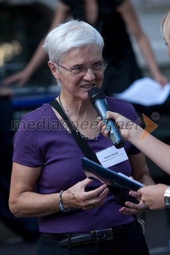 Darinka Sikošek, Fakulteta za naravoslovje in informatiko