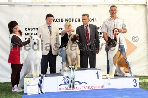 Najlepši mladi psi razstave CACIB Koper: 2. mesto: Toruk Makto, pasme švicarski beli ovčarski pes, lastnica Patrizie Martinelli, Italija, 1. mesto: I Bravi Ragazzi Bye Bye Baby, pasme bulmastif lastnica Alessandre Orlando, Italija in 3. mesto: Need fot Speed de Gabritho, pasme ameriški akita, lastnik Viljem Dvojmoč, Slovenija