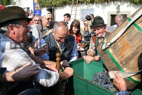 Svečana trgatev Stare trte in Boris Sovič, mariborski župan v letih 1998-2006