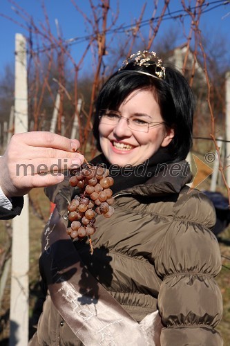 Ksenja Arbeiter, mariborska vinska kraljica