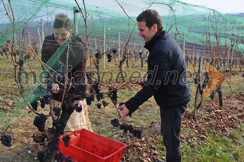 Martina Baškovič, vinska kraljica 2012 in Borut Cvetkovič, direktor podjetja Radgonske gorice, d.d.