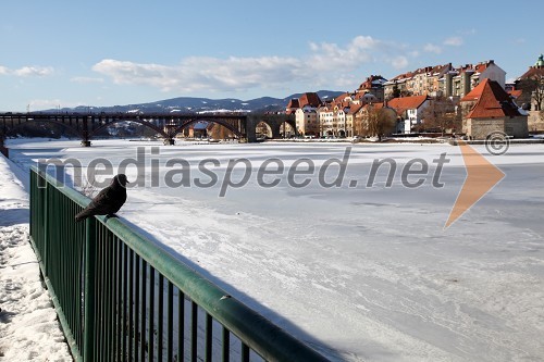 Reka Drava, Maribor