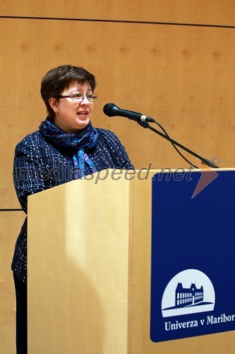 Prof. dr. Tatjana Welzer Družovec, Erasmus institucionalna koordinatorica