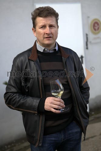 Danilo Steyer, vinogradništvo Steyer vina