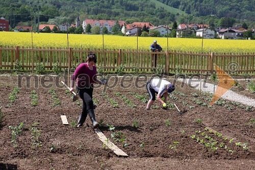 Maribor 2012 - EPK, Skupnostni urbani vrt - bazar sadik in semen