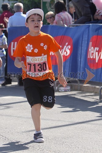 Maraton treh src 2012, tekači