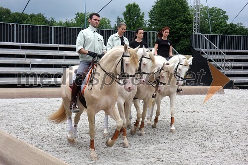 Emanuel Dardenne, Laure Guillaume, Emmanuelle Santini, ...