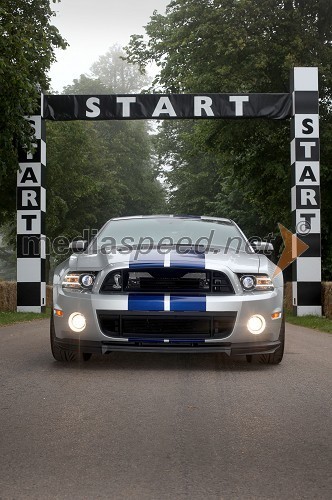 Mustang Ford Shelby GT500