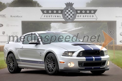 Mustang Ford Shelby GT500