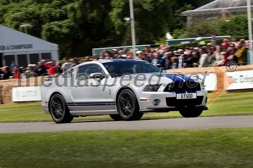 Mustang Ford Shelby GT500