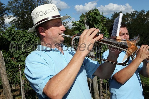 Danilo Steyer, vinogradništvo Steyer vina