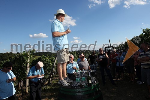 	Danilo Steyer, vinogradništvo Steyer vina