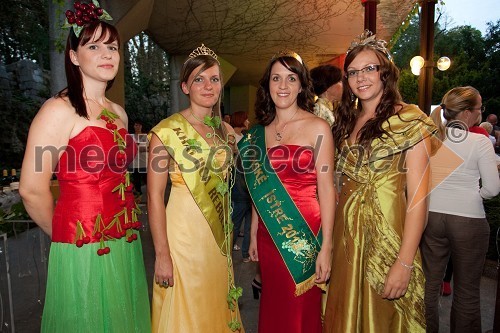 Sanja Ribolica, kraljica češenj, Jana Drnovšček, kraljica rebule, Tina Lakoseljac, vinska kraljica Slovenske Istre 2011 in Monika Rebernišek, 4. ptujska vinska kraljica