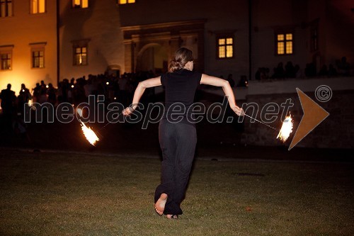 Maja Črešnik, poulična umetnica