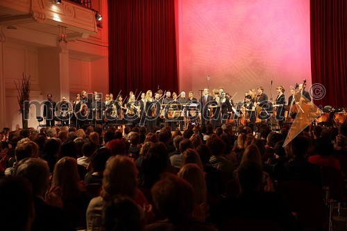 Orkester Festivala Maribor