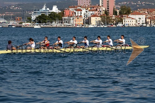 Študentski osmerec