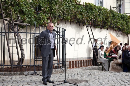 Franc Kangler, župan MOM