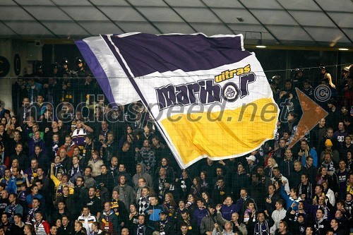 Navijači NK Maribor