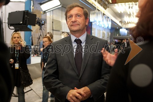 Karel Erjavec, politik