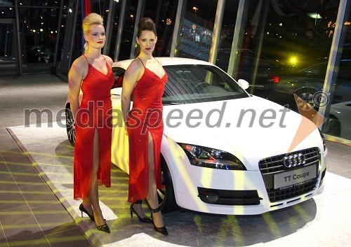 Hostesi in Audi TT