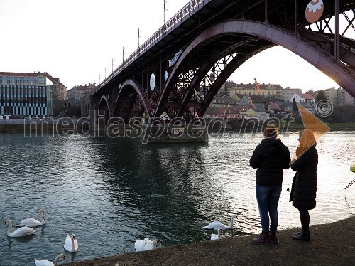 	Milica Simonič Steiner, direktorica mariborske mestne uprave, Tomaž Kancler, podžupan MOM, Stojan Auer, mestni svetnik in Astrid Bah, podžupanja MOM