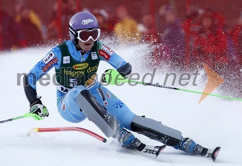 49. Zlata lisica 2012, slalom in druženje v VIP prostoru