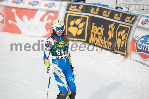 49. Zlata lisica 2012, slalom in druženje v VIP prostoru