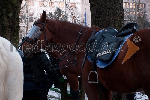 Tretja vseslovenska ljudska vstaja