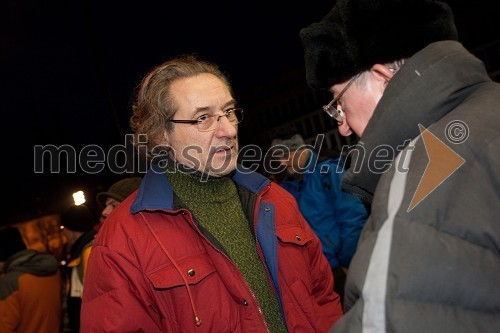 	Branimir Štrukelj, politik