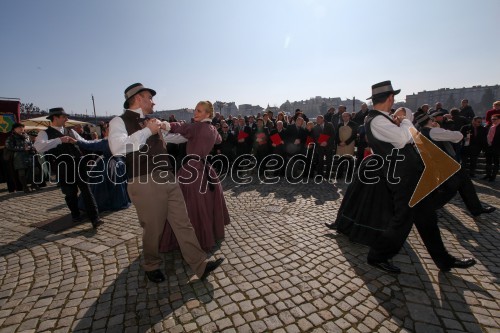 Akademska folklorna skupina Študent