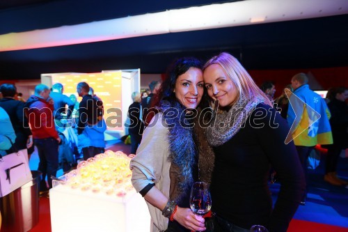 Pokal Vitranc 2013, Petrol VIP Qmax party