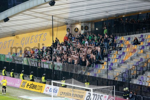 NK Olimpija, Green Dragons-i