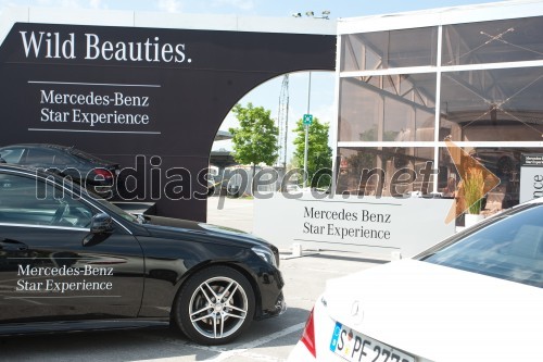 Mercedes-Benz Star Experience Wild Beauties