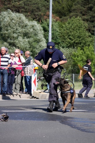 Zoran Brezočnik, vodnik psov