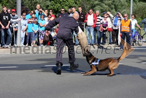 Policist s psom 